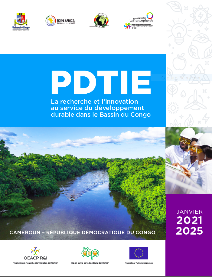 Plaquette du PDTIE Image 1