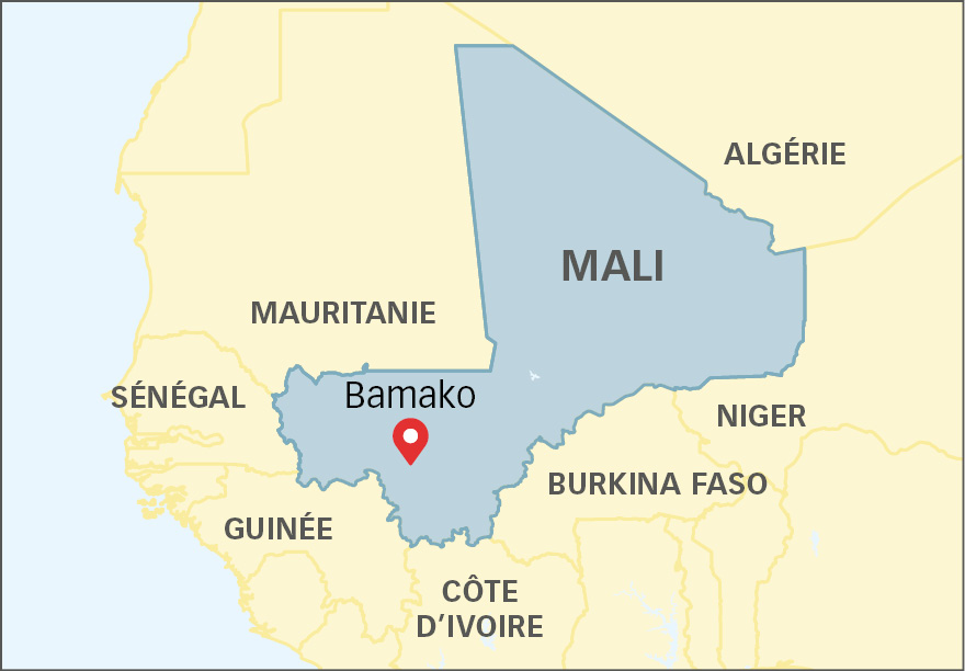 Mali - Économie de l'environnement Image 1