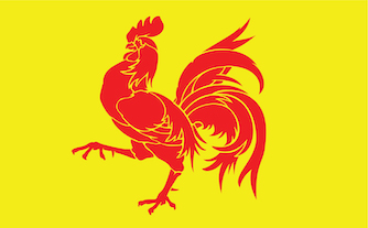 Wallonie drap