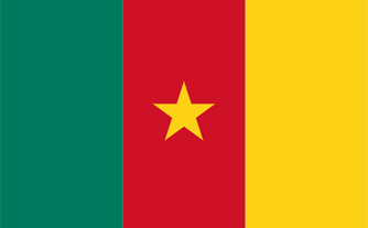 drapeau cameroun