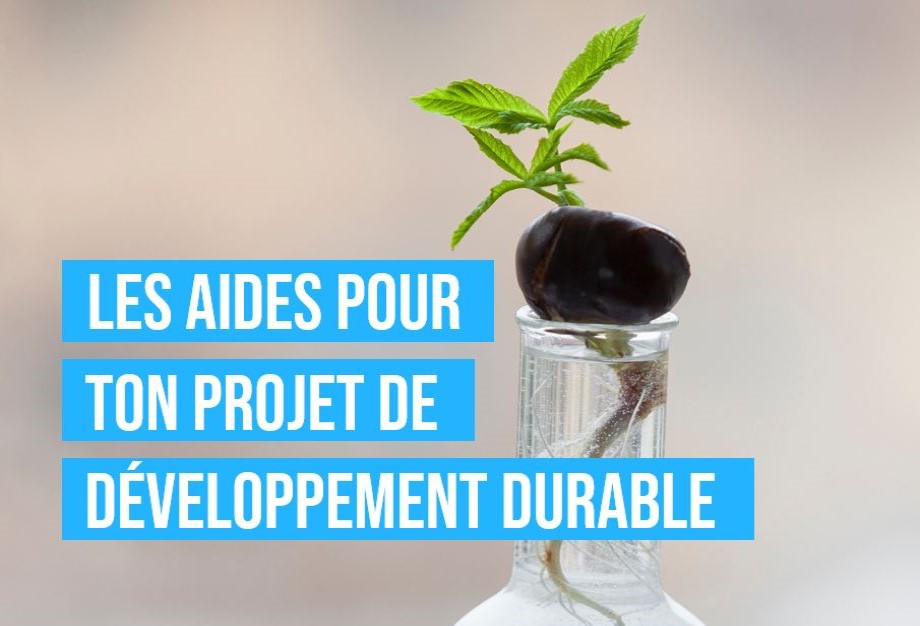 projets DD